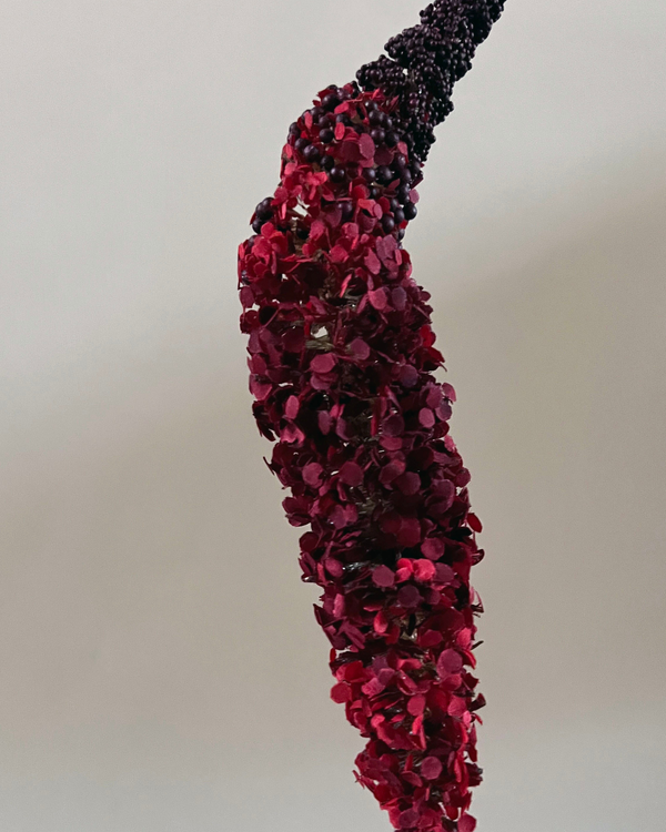 The Sper-Rouge Bouquet