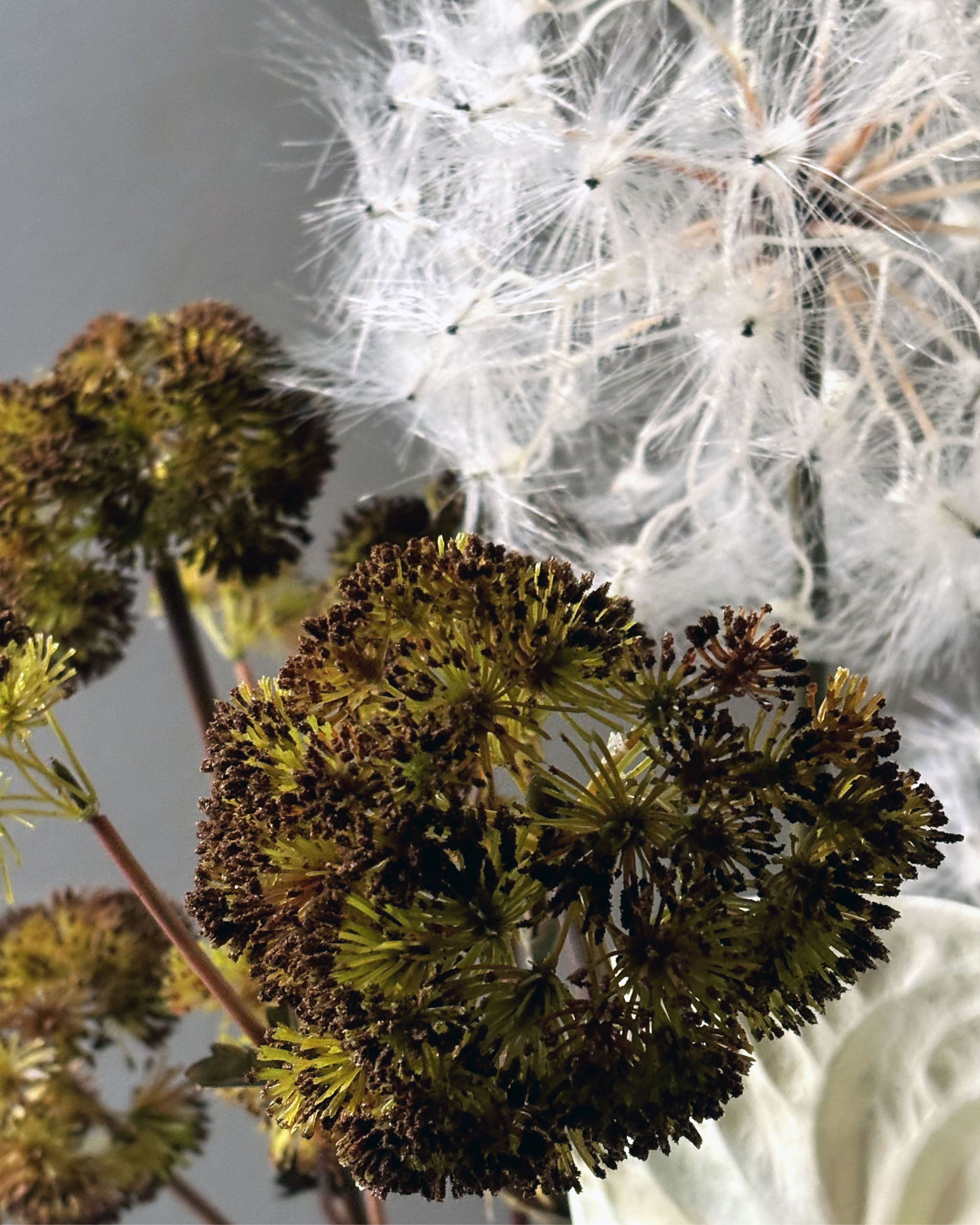 The Whispery Bouquet