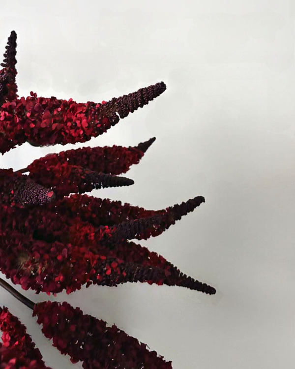 The Sper-Rouge Bouquet