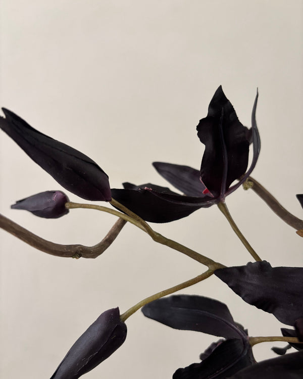 The Dark Cassis Bouquet