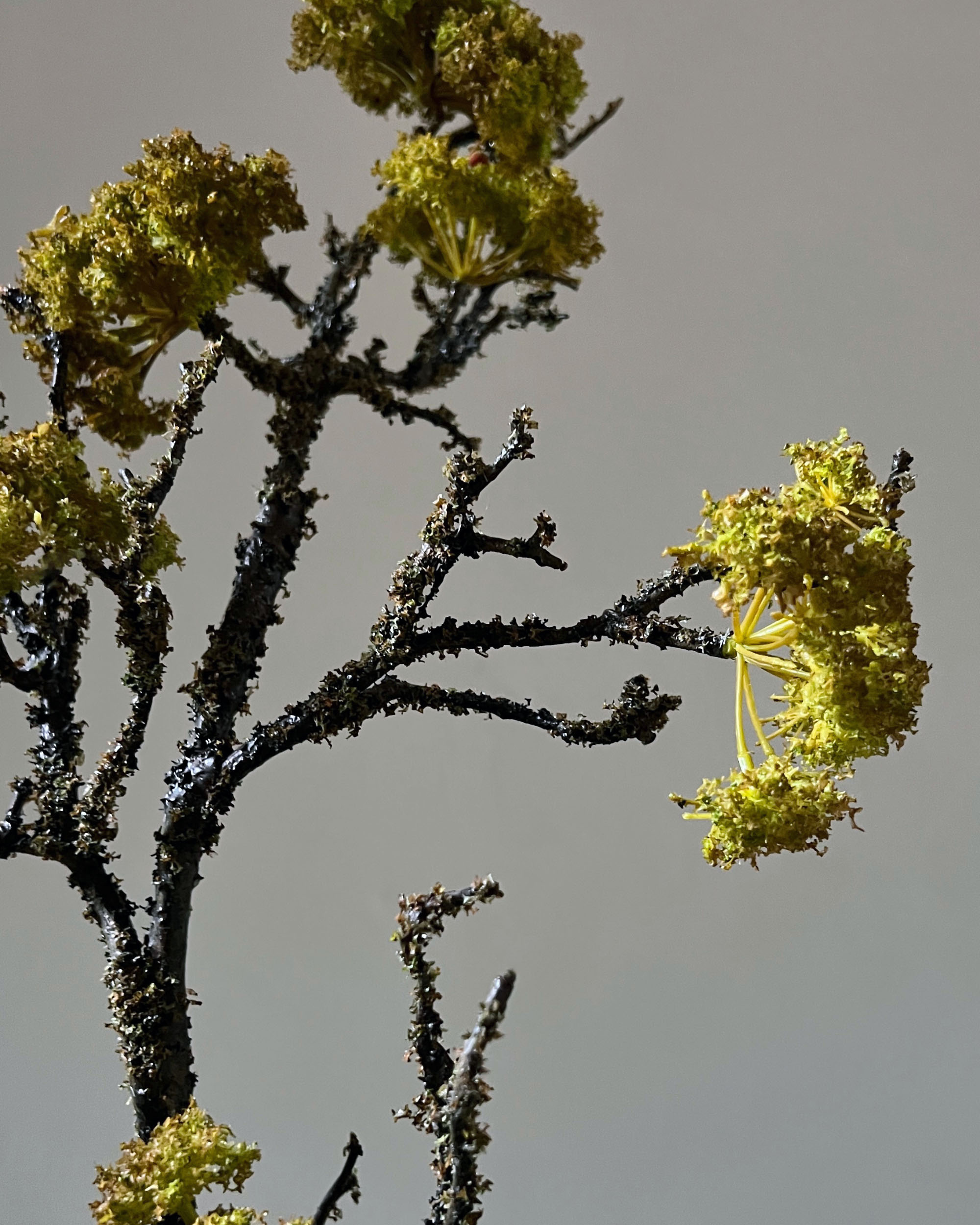 Morning at the Manor Bouquet