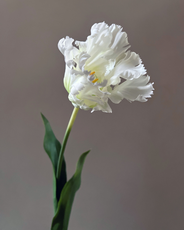 Morning at the Manor Bouquet