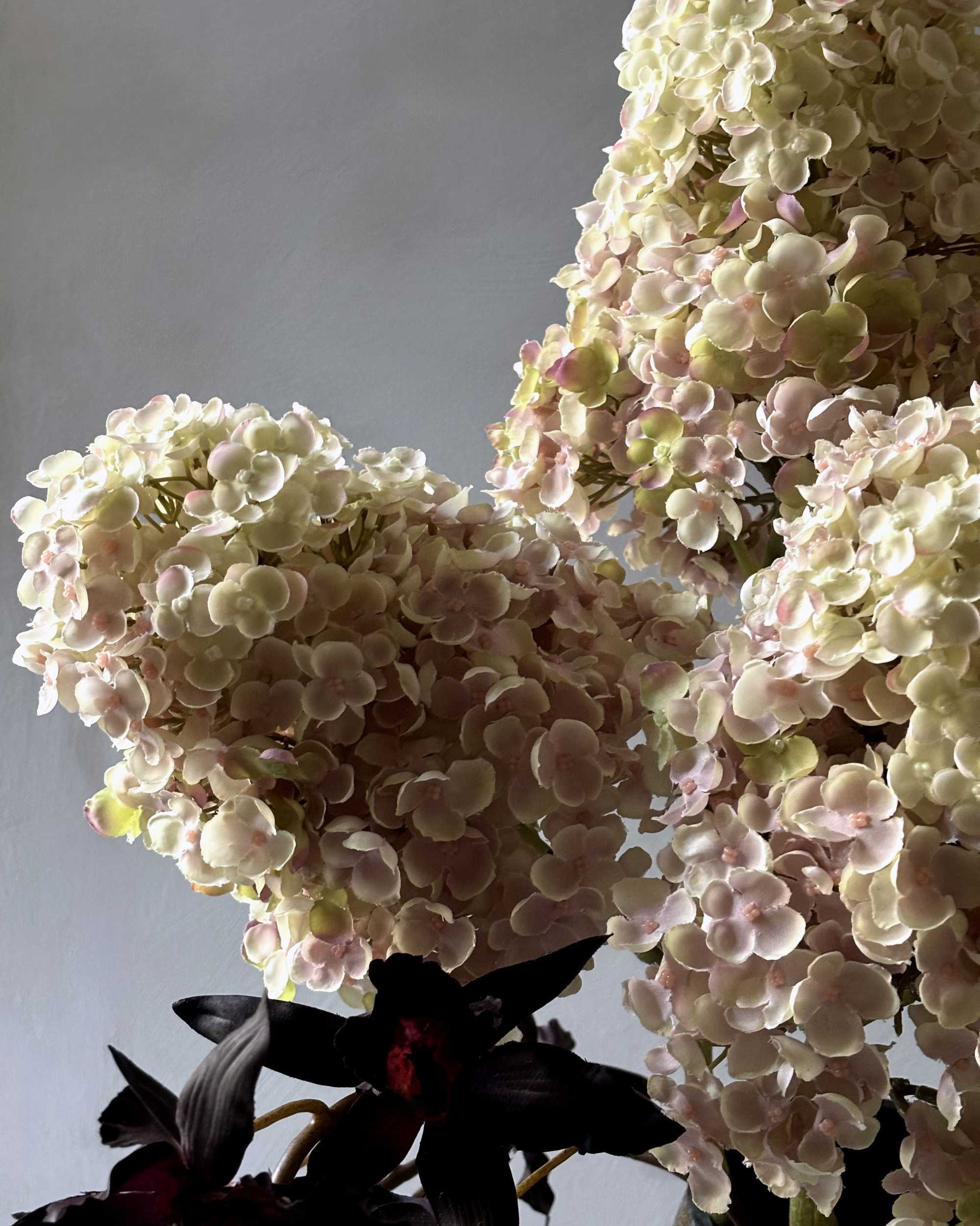 The Cloud-Like Bouquet