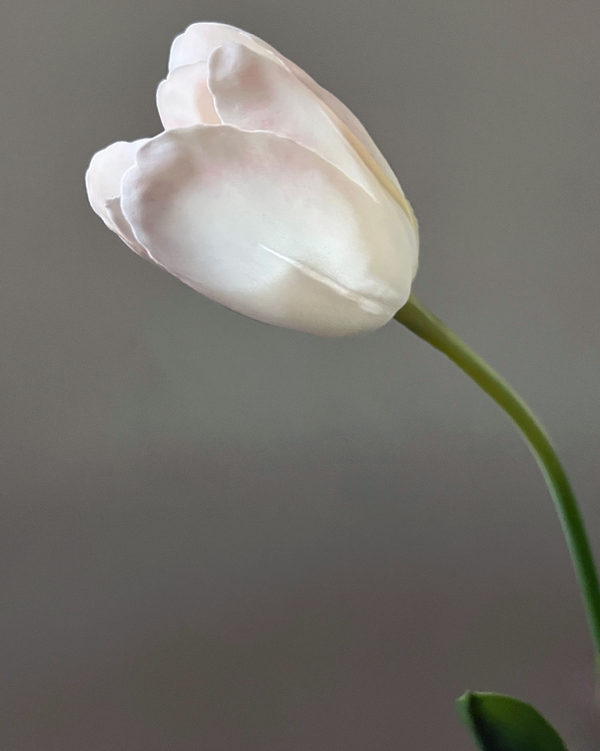 Morning at the Manor Bouquet