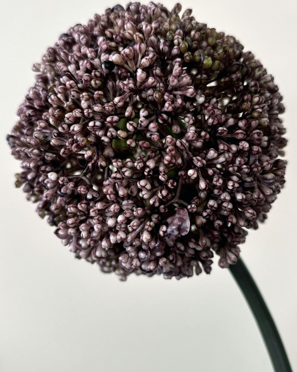 The Sper-Rouge Bouquet