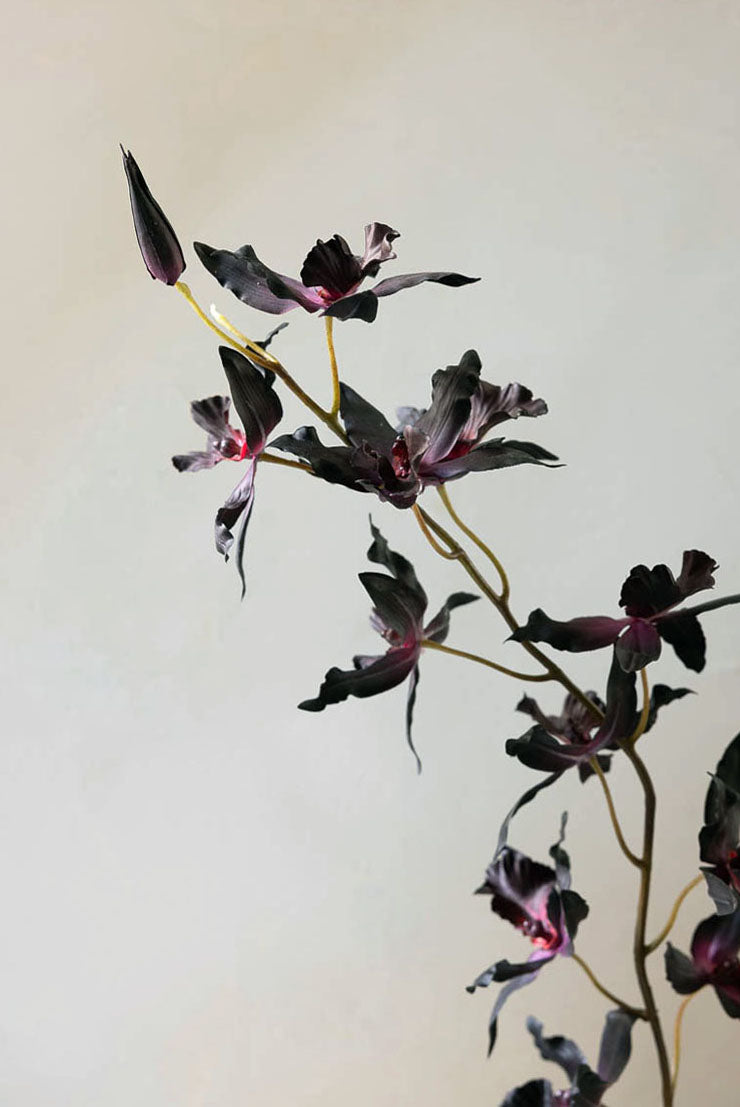 #003 - The cloud-like bouquet