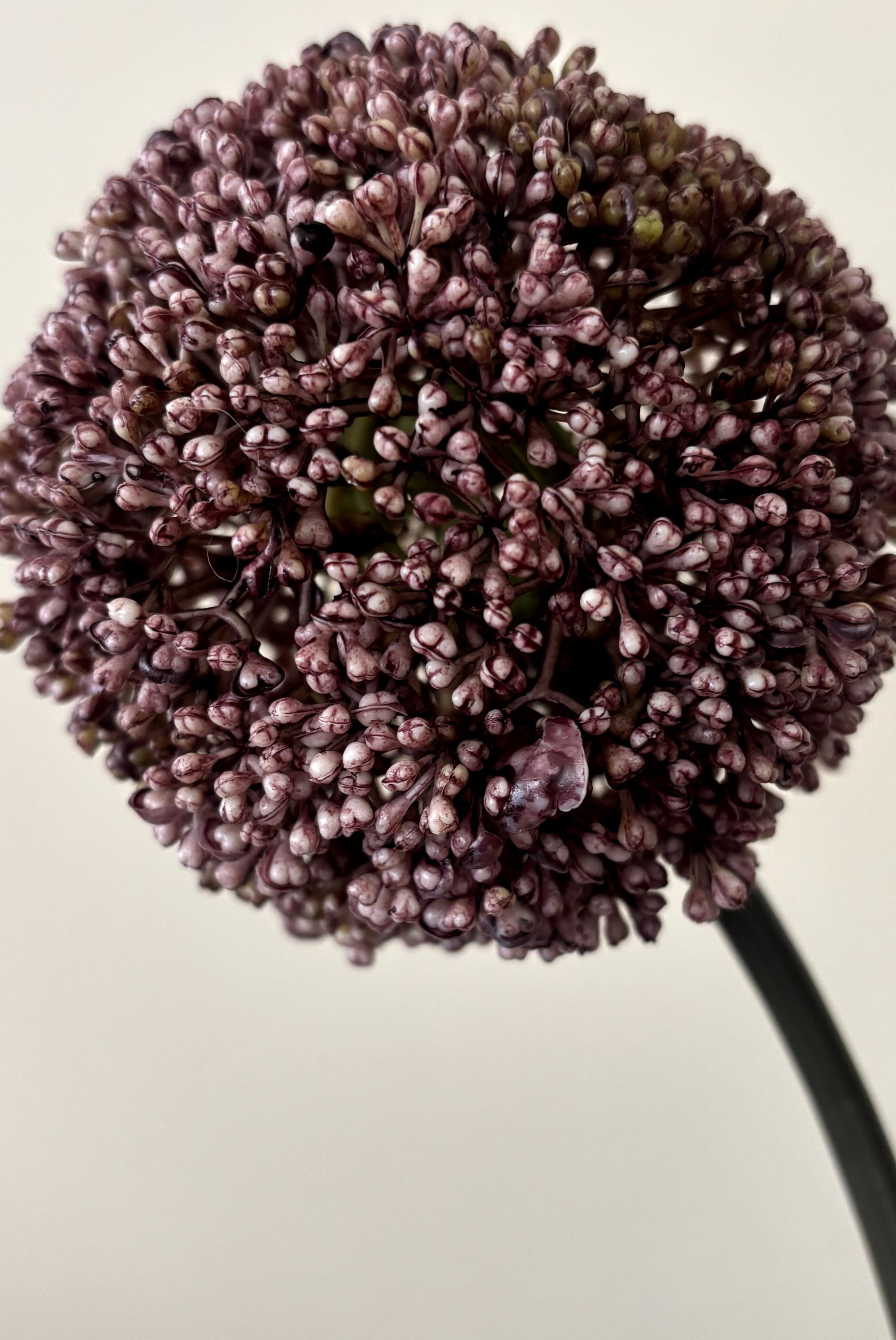 The Sper-Rouge Bouquet