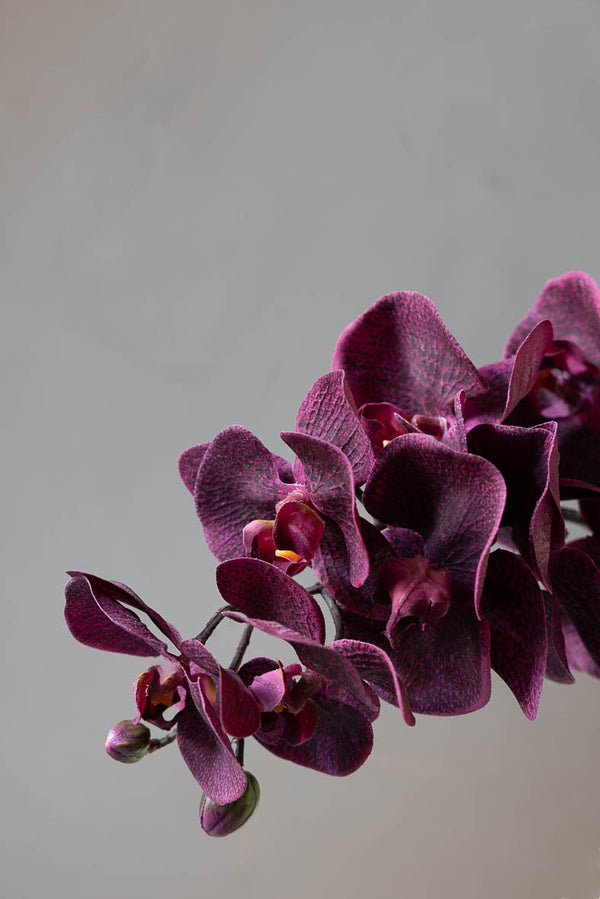 #001 - The midnight bouquet