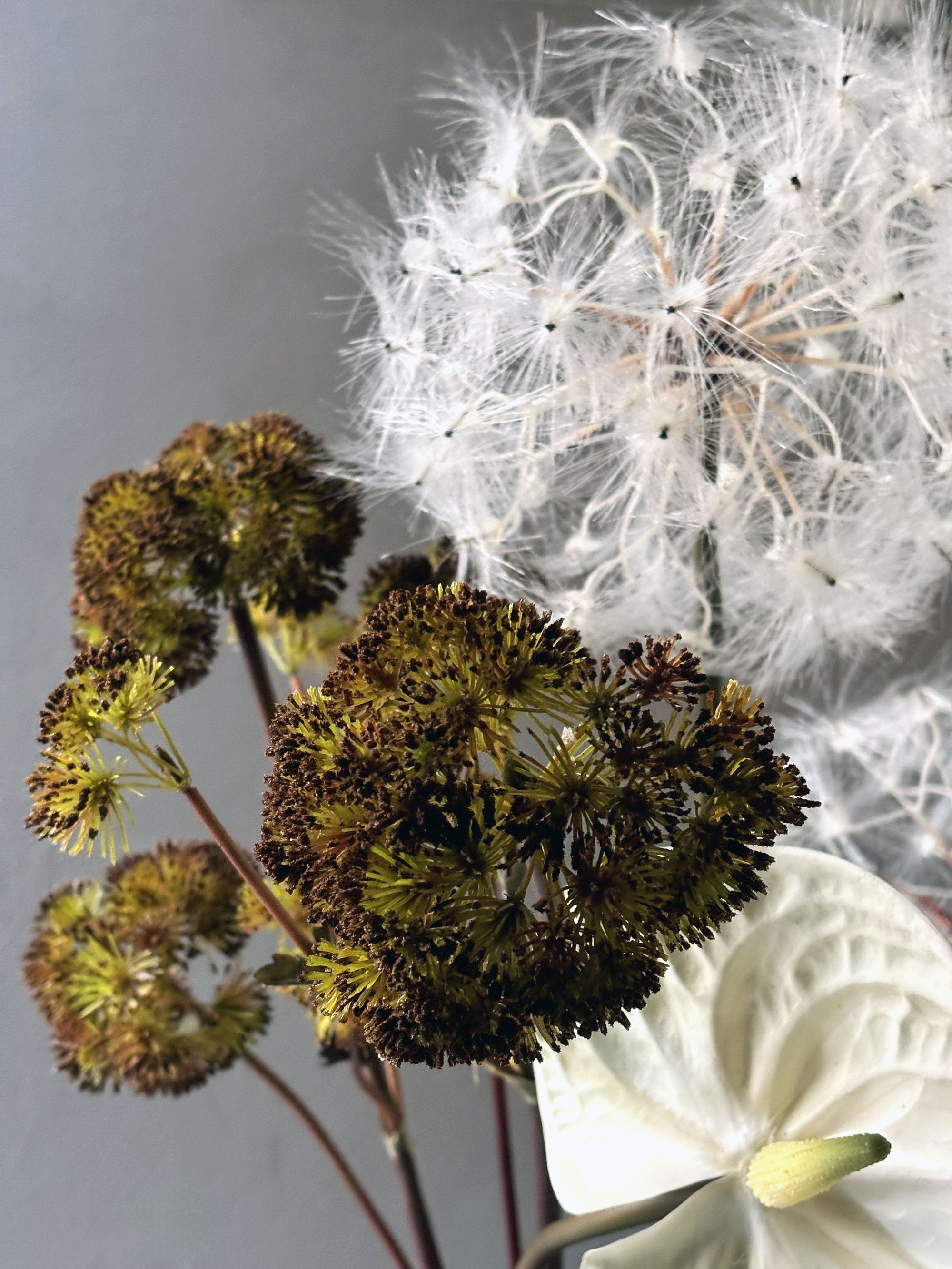 #004 - The whispery bouquet